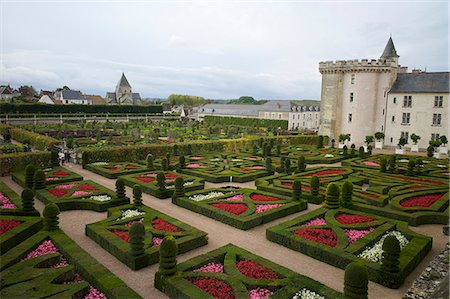 formal garden path - Gardens, Chateau de Villandry, UNESCO World Heritage Site, Indre-et-Loire, Touraine, Loire Valley, France, Europe Stock Photo - Rights-Managed, Code: 841-06499944