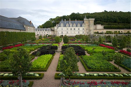 flowers in france - Gardens, Chateau de Villandry, UNESCO World Heritage Site, Indre-et-Loire, Touraine, Loire Valley, France, Europe Photographie de stock - Rights-Managed, Code: 841-06499941