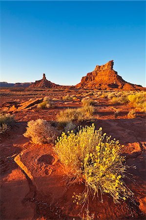 simsearch:841-06502755,k - Sitting Hen Butte and Rooster Butte at sunset, Valley of the Gods, Utah, United States of America, North America Foto de stock - Con derechos protegidos, Código: 841-06500085