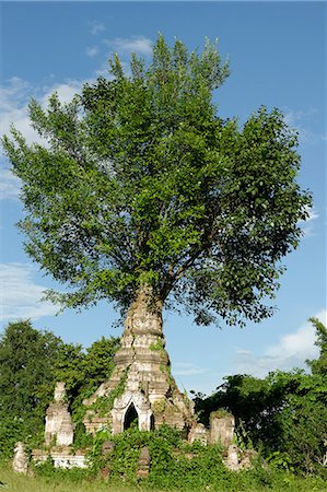 remainder - Buddhist monastery, Hsipaw area, Shan State, Republic of the Union of Myanmar (Burma), Asia Stock Photo - Rights-Managed, Code: 841-06500229