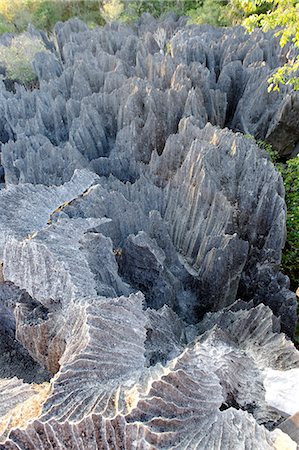 Tsingy de Bemaraha Strict Nature Reserve, UNESCO World Heritage Site, near the western coast in Melaky Region, Madagascar, Africa Foto de stock - Con derechos protegidos, Código: 841-06500277
