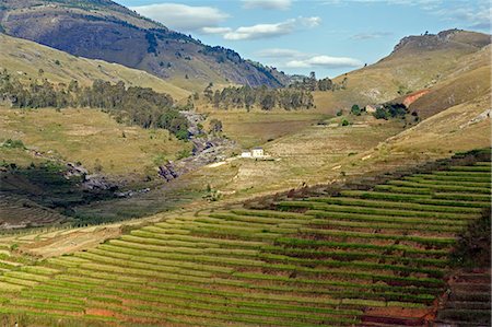 Landscape of the Highlands, Fianaranstoa region, Madagascar, Africa Stock Photo - Rights-Managed, Code: 841-06500294