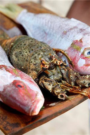 poisson mort - Freshly caught fish, Porto Seguro, Bahia, Brazil, South America Photographie de stock - Rights-Managed, Code: 841-06500468