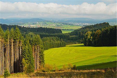 simsearch:841-06500579,k - View of forest and Breitenberg in the distance, Bavaria, Germany, Europe Fotografie stock - Rights-Managed, Codice: 841-06500577