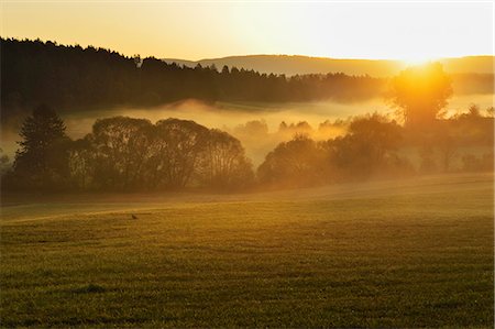 sunrise in the forest - Morning for in the Neckartal (Neckar valley), near Villingen-Schwenningen, Black Forest, Schwarzwald-Baar, Baden-Wurttemberg, Germany, Europe Stock Photo - Rights-Managed, Code: 841-06500606