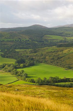 dumfries and galloway - Fleet Valley National Scenic Area, from the Doon of Culreoch, Dumfries and Galloway, Scotland, United Kingdom, Europe Foto de stock - Direito Controlado, Número: 841-06500630