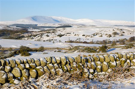 simsearch:841-06030335,k - Cairnsmore of Fleet in winter snow, from Knocktinkle Viewpoint, Dumfries and Galloway, Scotland, United Kingdom, Europe Photographie de stock - Rights-Managed, Code: 841-06500641