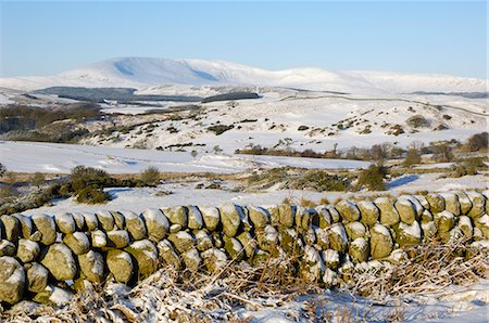 simsearch:841-06030335,k - Cairnsmore of Fleet in winter snow, from Knocktinkle Viewpoint, Dumfries and Galloway, Scotland, United Kingdom, Europe Stockbilder - Lizenzpflichtiges, Bildnummer: 841-06500641