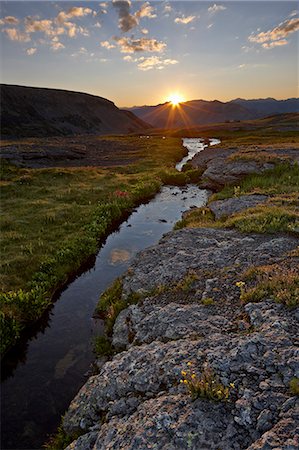 simsearch:841-06500736,k - Sunrise in an Alpine meadow with wildflowers, San Juan National Forest, Colorado, United States of America, North America Foto de stock - Con derechos protegidos, Código: 841-06500701