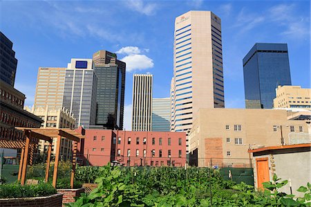 Skyline, Denver, Colorado, United States of America, North America Foto de stock - Con derechos protegidos, Código: 841-06500927