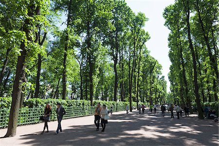 st. petersburg - People enjoying the Summer Garden, St. Petersburg, Russia, Europe Stockbilder - Lizenzpflichtiges, Bildnummer: 841-06500993