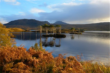 scenic scotland - Evening sunlight, Loch Assynt, National Nature Reserve, Sutherland, Highlands, Scotland, United Kingdom, Europe Stock Photo - Rights-Managed, Code: 841-06501127