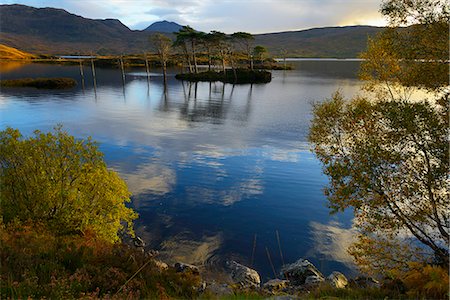 escocia - Evening sunlight, Loch Assynt, National Nature Reserve, Sutherland, Highlands, Scotland, United Kingdom, Europe Foto de stock - Con derechos protegidos, Código: 841-06501128