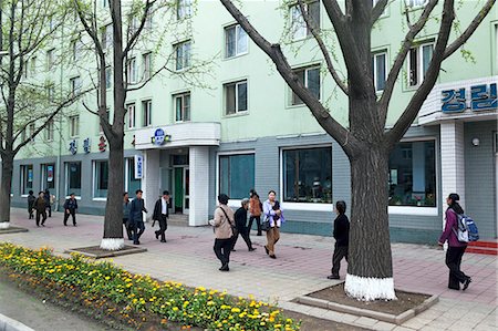 Typical city street scene, Pyongyang, Democratic People's Republic of Korea (DPRK), North Korea, Asia Stockbilder - Lizenzpflichtiges, Bildnummer: 841-06501273