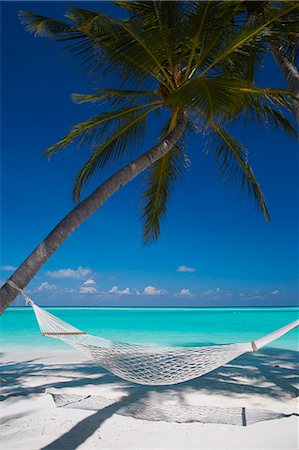 palm trees blue sky - Hammock on tropical beach, Maldives, Indian Ocean, Asia Stock Photo - Rights-Managed, Code: 841-06501294