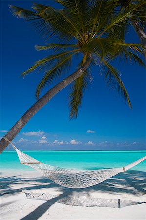 sandy beach - Hammock on tropical beach, Maldives, Indian Ocean, Asia Stock Photo - Rights-Managed, Code: 841-06501294