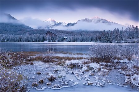 snowy trees - Winter snow and ice at Strbske Pleso in the High Tatras in winter, Slovakia, Europe Stock Photo - Rights-Managed, Code: 841-06501355