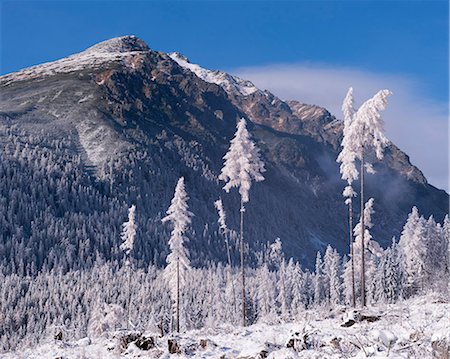simsearch:841-07083572,k - Snow covered trees and mountains in winter in the High Tatras, Slovakia, Europe Fotografie stock - Rights-Managed, Codice: 841-06501353