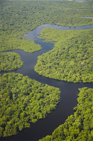 selva tropical - Aerial view of Amazon rainforest and tributary of the Rio Negro, Manaus, Amazonas, Brazil, South America Foto de stock - Con derechos protegidos, Código: 841-06501439