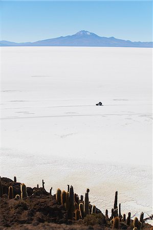 salt plains - Tourist jeep on Salar de Uyuni (Salt Flats of Uyuni) from Isla del Pescado (Fish Island), Potosi Department, Bolivia, South America Photographie de stock - Rights-Managed, Code: 841-06501694