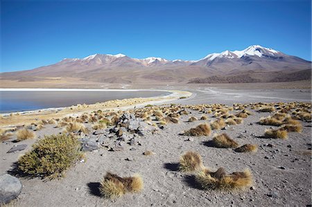 Landscape of Laguna Canapa on Altiplano, Potosi Department, Bolivia, South America Photographie de stock - Rights-Managed, Code: 841-06501706