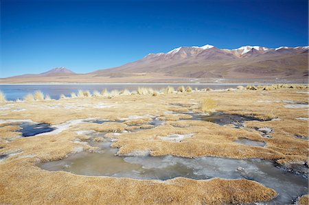 simsearch:841-06449764,k - Landscape of Laguna Canapa on Altiplano, Potosi Department, Bolivia, South America Photographie de stock - Rights-Managed, Code: 841-06501707