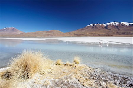 Laguna Adeyonda on Altiplano, Potosi Department, Bolivia, South America Photographie de stock - Rights-Managed, Code: 841-06501711
