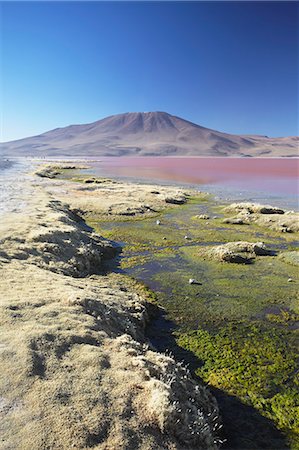 simsearch:841-06449741,k - Laguna Colorada on the Altiplano, Potosi Department, Bolivia, South America Stock Photo - Rights-Managed, Code: 841-06501726