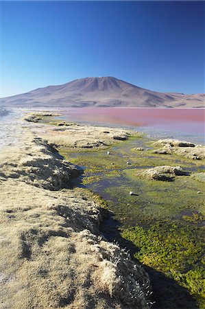 simsearch:841-06501726,k - Laguna Colorada on the Altiplano, Potosi Department, Bolivia, South America Foto de stock - Con derechos protegidos, Código: 841-06501726