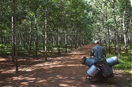 rubber - Rubber worker in rubber plantation, Kampong Cham, Cambodia, Indochina, Southeast Asia, Asia Stock Photo - Rights-Managed, Code: 841-06501940