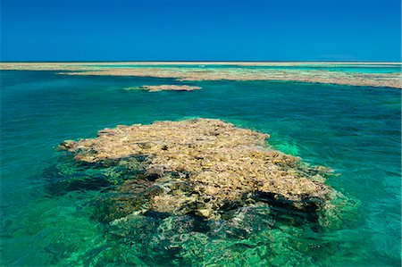 Aerial of the Great Barrier Reef. UNESCO World Heritage Site, Queensland, Australia, Pacific Foto de stock - Con derechos protegidos, Código: 841-06502297