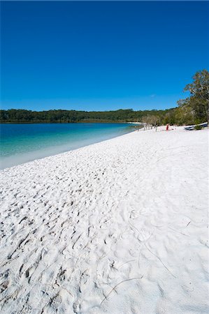 simsearch:841-06502297,k - McKenzie Lake, Fraser Island, UNESCO World Heritage Site, Queensland, Australia, Pacific Stockbilder - Lizenzpflichtiges, Bildnummer: 841-06502292