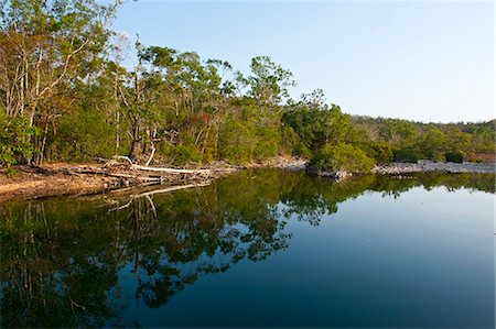 simsearch:841-06502268,k - Paluma Range National Park, Queensland, Australia, Pacific Stock Photo - Rights-Managed, Code: 841-06502314