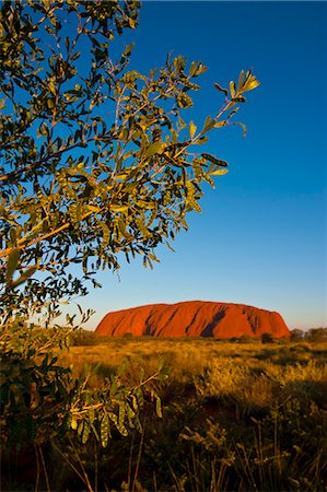 Uluru (Ayers Rock), Uluru-Kata Tjuta National Park, UNESCO World Heritage Site, Northern Territory, Australia, Pacific Stock Photo - Rights-Managed, Code: 841-06502336