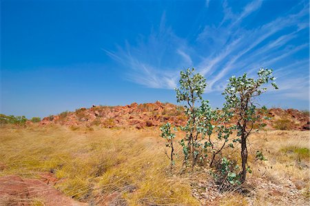 simsearch:841-06502376,k - Kundjarra (the Pebbles) granite boulders, Northern Territory, Australia, Pacific Photographie de stock - Rights-Managed, Code: 841-06502358