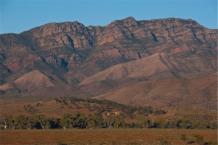 flinders range national park - Flinders Ranges National Park, South Australia, Australia, Pacific Stock Photo - Rights-Managed, Code: 841-06502365