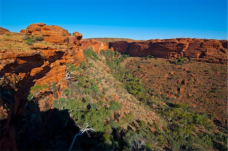 Kings Canyon, Northern Territory, Australia, Pacific Foto de stock - Con derechos protegidos, Código: 841-06502380