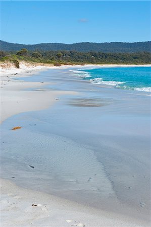 Bay of Fire, voted one of the most beautiful beaches in the world, Tasmania, Australia, Pacific Foto de stock - Con derechos protegidos, Código: 841-06502402