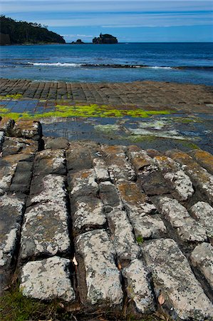 Tessellated Pavement, Tasman Peninsula, Tasmania, Australia, Pacific Stock Photo - Rights-Managed, Code: 841-06502424