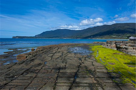 simsearch:841-05781217,k - Tessellated Pavement, Tasman Peninsula, Tasmania, Australia, Pacific Foto de stock - Con derechos protegidos, Código: 841-06502423