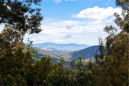 simsearch:841-06502403,k - Mount Field National Park, Tasmania, Australia, Pacific Photographie de stock - Rights-Managed, Code: 841-06502436