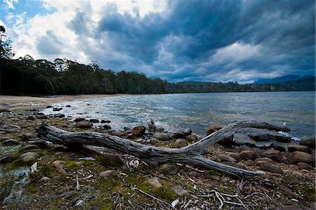 dramatic landscape in australia - Lake St. Claire, Tasmania, Australia, Pacific Stock Photo - Rights-Managed, Code: 841-06502432