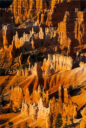 simsearch:841-06502751,k - Close up of the pinnacles, beautiful rock formations of Bryce Canyon National Park at sunset, Utah, United States of America, North America Photographie de stock - Rights-Managed, Code: 841-06502456