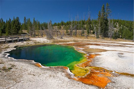 Abyss Pool, West Thumb Geyser Basin, Yellowstone National Park, UNESCO World Heritage Site, Wyoming, United States of America, North America Photographie de stock - Rights-Managed, Code: 841-06502657