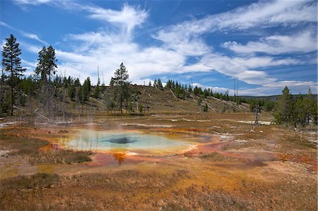 simsearch:841-06502673,k - Thermal springs, Upper Geyser Basin, Yellowstone National Park, UNESCO World Heritage Site, Wyoming, United States of America, North America Photographie de stock - Rights-Managed, Code: 841-06502651