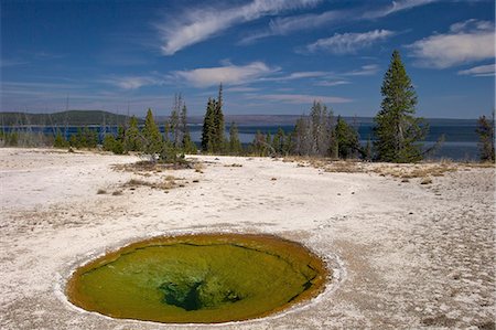 Ephedra spring, West Thumb Geyser Basin, Yellowstone National Park, UNESCO World Heritage Site, Wyoming, United States of America, North America Photographie de stock - Rights-Managed, Code: 841-06502663