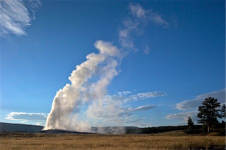 powerful (things in nature excluding animals) - Old Faithful Geyser erupting in summer evening light, Yellowstone National Park, UNESCO World Heritage Site, Wyoming, United States of America, North America Stock Photo - Rights-Managed, Code: 841-06502681