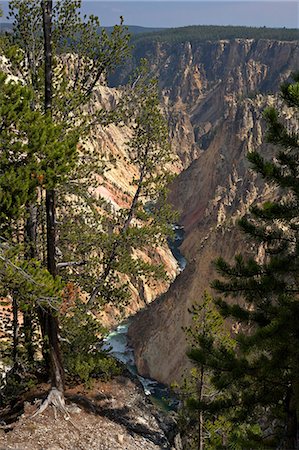 Grand Canyon of the Yellowstone River, from Grand View, Yellowstone National Park, UNESCO World Heritage Site, Wyoming, United States of America, North America Stock Photo - Rights-Managed, Code: 841-06502704