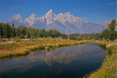 rio snake - Snake River at the Schwabacher Landing, Grand Teton National Park, Wyoming, United States of America, North America Foto de stock - Direito Controlado, Número: 841-06502735