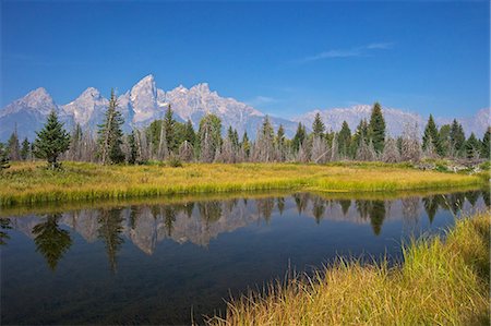 rio snake - Snake River at the Schwabacher Landing, Grand Teton National Park, Wyoming, United States of America, North America Foto de stock - Direito Controlado, Número: 841-06502736